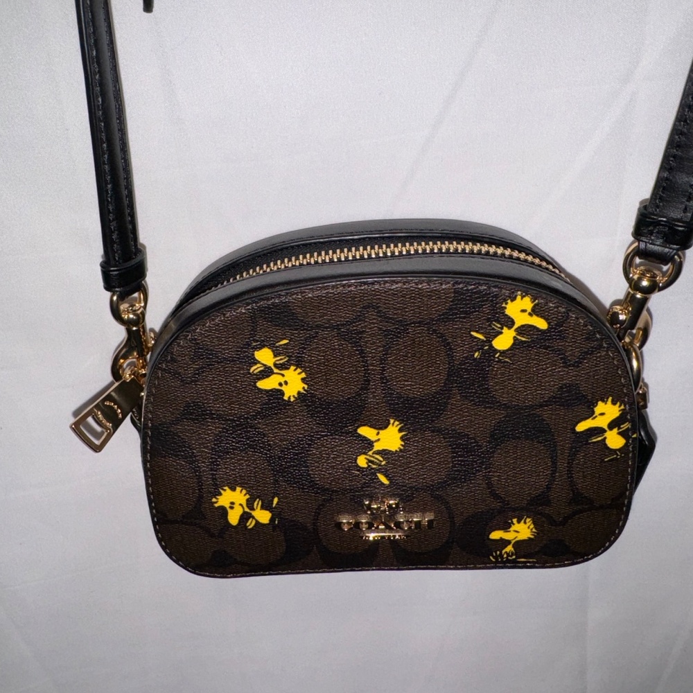 Coach x Snoopy - Picture 3 of 3